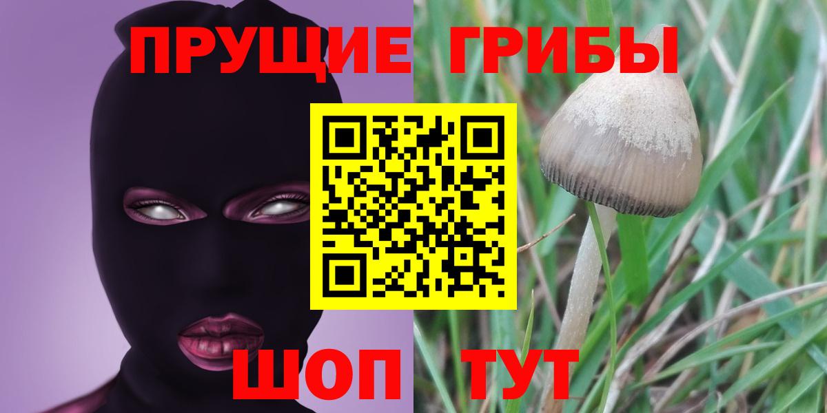 Можга  Галлюциногенные грибы мицелий  Псилоцибиновые грибы Magic Shrooms  Вход с VPN 